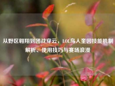 从野区翱翔到团战穿云，LOL鸟人奎因技能机制解析、使用技巧与赛场浪漫