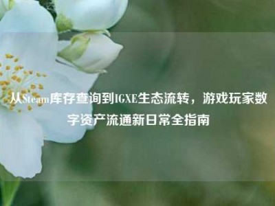 从Steam库存查询到IGXE生态流转，游戏玩家数字资产流通新日常全指南