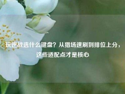 玩逆战选什么键盘？从猎场速刷到排位上分，这些适配点才是核心