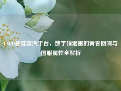 CSGO登陆蒸汽平台，数字硝烟里的青春回响与国服属性全解析