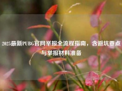 2025最新PUBG官网举报全流程指南，含避坑要点与举报材料准备