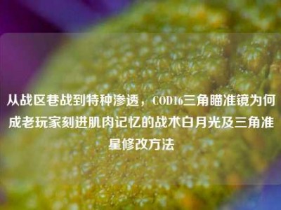 从战区巷战到特种渗透，COD16三角瞄准镜为何成老玩家刻进肌肉记忆的战术白月光及三角准星修改方法