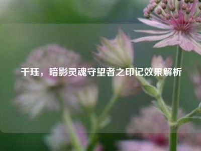 千珏，暗影灵魂守望者之印记效果解析
