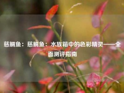 慈鲷鱼：慈鲷鱼：水族箱中的色彩精灵——全面测评指南