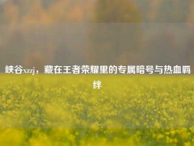 峡谷xzzj，藏在王者荣耀里的专属暗号与热血羁绊