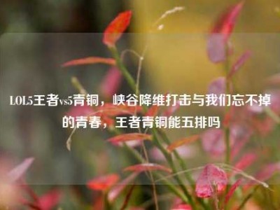LOL5王者vs5青铜，峡谷降维打击与我们忘不掉的青春，王者青铜能五排吗