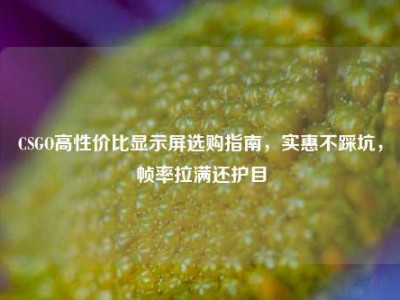 CSGO高性价比显示屏选购指南，实惠不踩坑，帧率拉满还护目