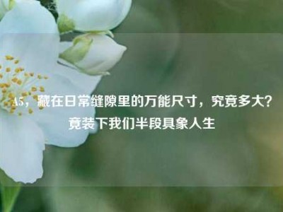 A5，藏在日常缝隙里的万能尺寸，究竟多大？竟装下我们半段具象人生
