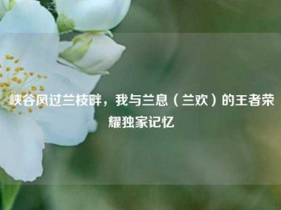 峡谷风过兰枝畔，我与兰息（兰欢）的王者荣耀独家记忆