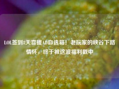 LOL签到8天喜提AD自选箱！老玩家的峡谷下路情怀，终于被这波福利戳中