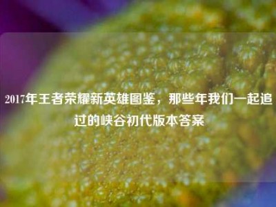 2017年王者荣耀新英雄图鉴，那些年我们一起追过的峡谷初代版本答案