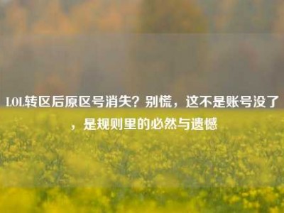 LOL转区后原区号消失？别慌，这不是账号没了，是规则里的必然与遗憾