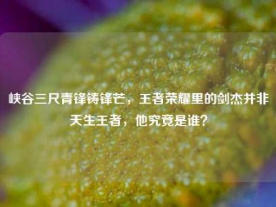 峡谷三尺青锋铸锋芒，王者荣耀里的剑杰并非天生王者，他究竟是谁？