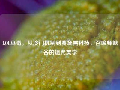 LOL巫毒，从冷门机制到赛场黑科技，召唤师峡谷的诅咒美学