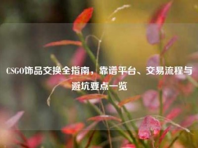 CSGO饰品交换全指南，靠谱平台、交易流程与避坑要点一览