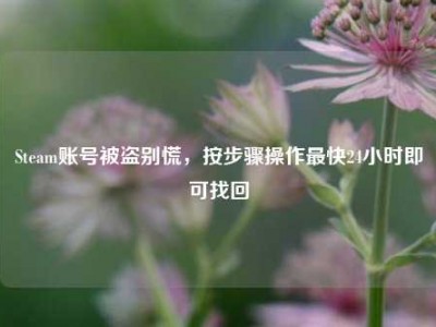 Steam账号被盗别慌，按步骤操作最快24小时即可找回