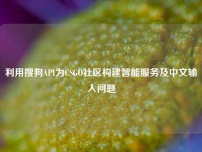 利用搜狗API为CSGO社区构建智能服务及中文输入问题