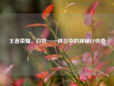 王者荣耀，白妲——峡谷中的神秘CP传奇