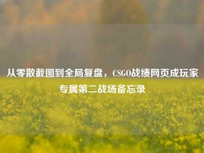 从零散截图到全局复盘，CSGO战绩网页成玩家专属第二战场备忘录