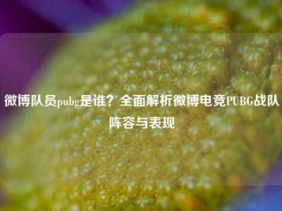 微博队员pubg是谁？全面解析微博电竞PUBG战队阵容与表现