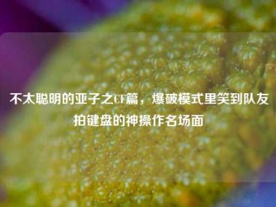 不太聪明的亚子之CF篇，爆破模式里笑到队友拍键盘的神操作名场面