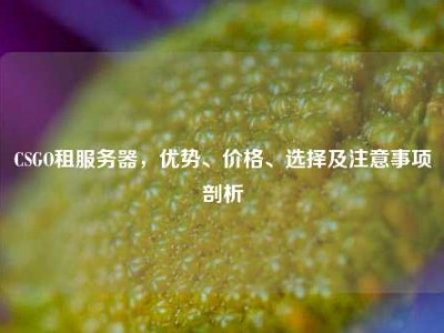 CSGO租服务器，优势、价格、选择及注意事项剖析