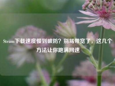 Steam下载速度慢到破防？别骂带宽了，这几个方法让你跑满网速