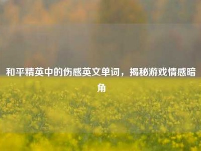 和平精英中的伤感英文单词，揭秘游戏情感暗角