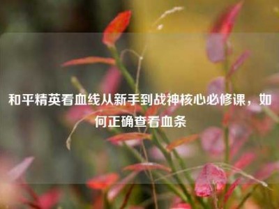 和平精英看血线从新手到战神核心必修课，如何正确查看血条
