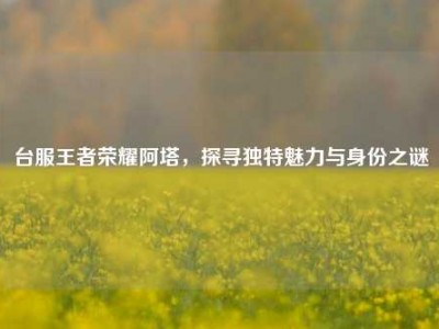 台服王者荣耀阿塔，探寻独特魅力与身份之谜