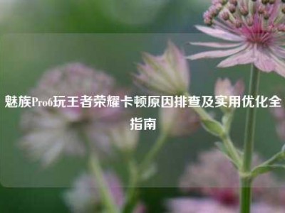 魅族Pro6玩王者荣耀卡顿原因排查及实用优化全指南