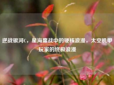 逆战银河C，星海鏖战中的硬核浪漫，太空机甲玩家的终极浪漫