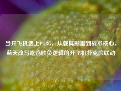当开飞机遇上PUBG，从载具彩蛋到战术核心，蓝天改写吃鸡胜负逻辑的开飞机扑克牌联动