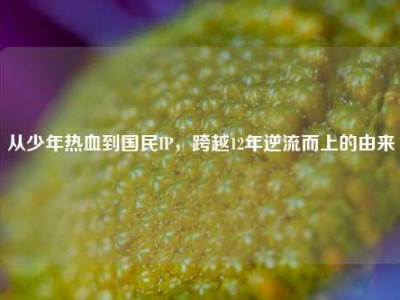 从少年热血到国民IP，跨越12年逆流而上的由来