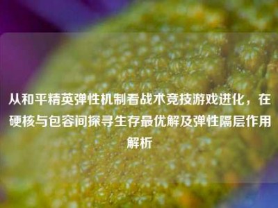 从和平精英弹性机制看战术竞技游戏进化，在硬核与包容间探寻生存最优解及弹性隔层作用解析
