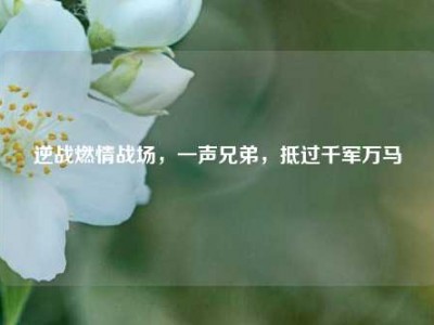 逆战燃情战场，一声兄弟，抵过千军万马