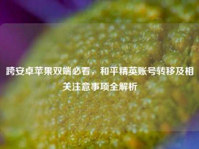 跨安卓苹果双端必看，和平精英账号转移及相关注意事项全解析