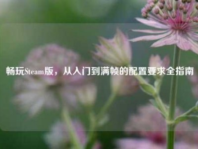 畅玩Steam版，从入门到满帧的配置要求全指南