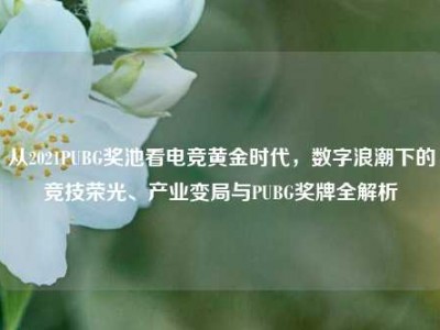 从2021PUBG奖池看电竞黄金时代，数字浪潮下的竞技荣光、产业变局与PUBG奖牌全解析