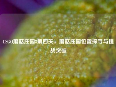 CSGO蘑菇庄园3第四关，蘑菇庄园位置探寻与挑战突破