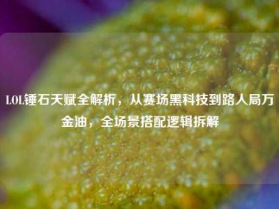 LOL锤石天赋全解析，从赛场黑科技到路人局万金油，全场景搭配逻辑拆解