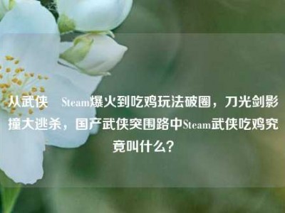 从武侠乂Steam爆火到吃鸡玩法破圈，刀光剑影撞大逃杀，国产武侠突围路中Steam武侠吃鸡究竟叫什么？
