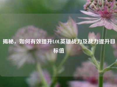 揭秘，如何有效提升LOL英雄战力及战力提升目标值