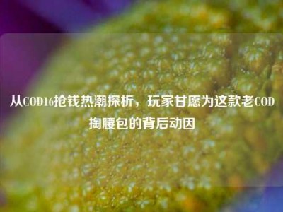从COD16抢钱热潮探析，玩家甘愿为这款老COD掏腰包的背后动因