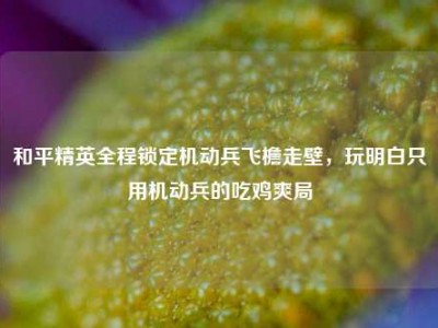 和平精英全程锁定机动兵飞檐走壁，玩明白只用机动兵的吃鸡爽局