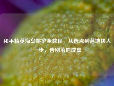 和平精英海岛跳伞全教程，从选点到落地快人一步，告别落地成盒