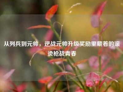 从列兵到元帅，逆战元帅升级奖励里藏着的滚烫枪战青春