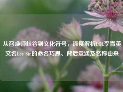 从召唤师峡谷到文化符号，深度解析LOL李青英文名Lee Sin的命名巧思、背后意涵及名称由来