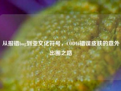 从报错bug到亚文化符号，COD16错误皮肤的意外出圈之路