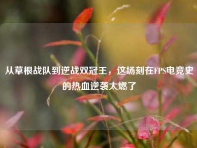 从草根战队到逆战双冠王，这场刻在FPS电竞史的热血逆袭太燃了